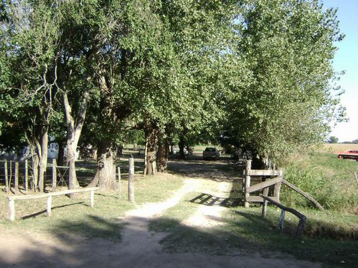 Picture of Farm For Sale in San Andres De Giles, Buenos Aires, Argentina