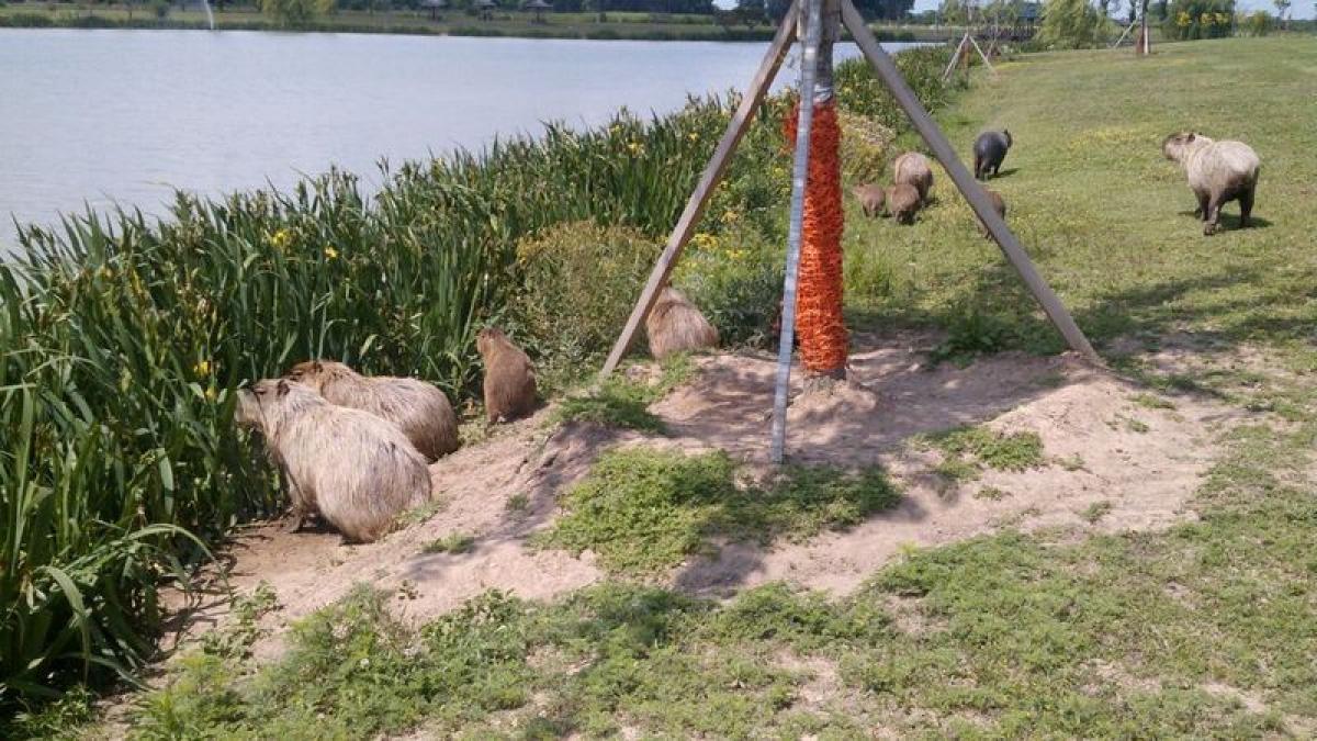 Picture of Home For Sale in General Rodriguez, Buenos Aires, Argentina