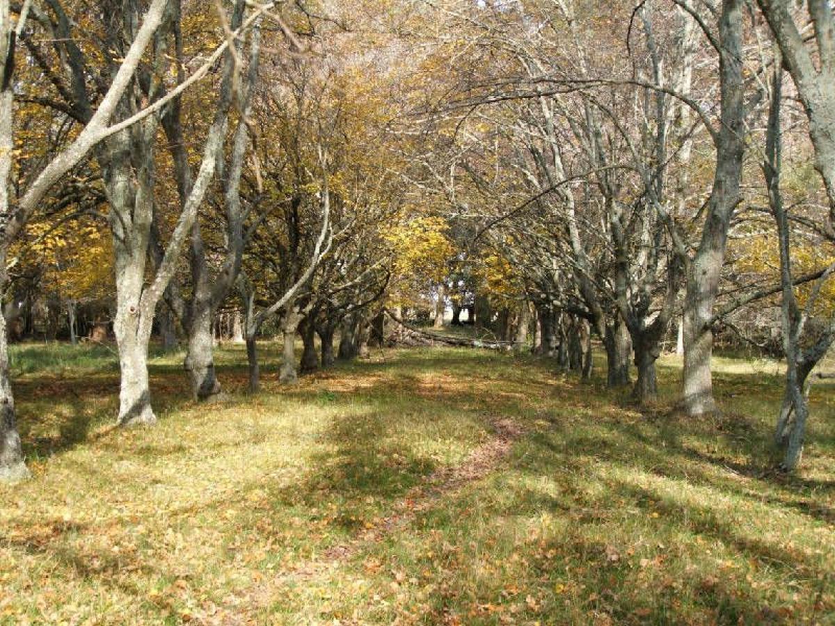 Picture of Home For Sale in Brandsen, Buenos Aires, Argentina