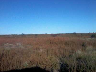 Home For Sale in Coronel Dorrego, Argentina