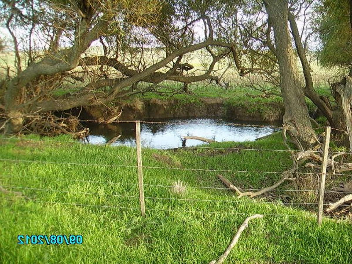 Picture of Home For Sale in Bahia Blanca, Buenos Aires, Argentina