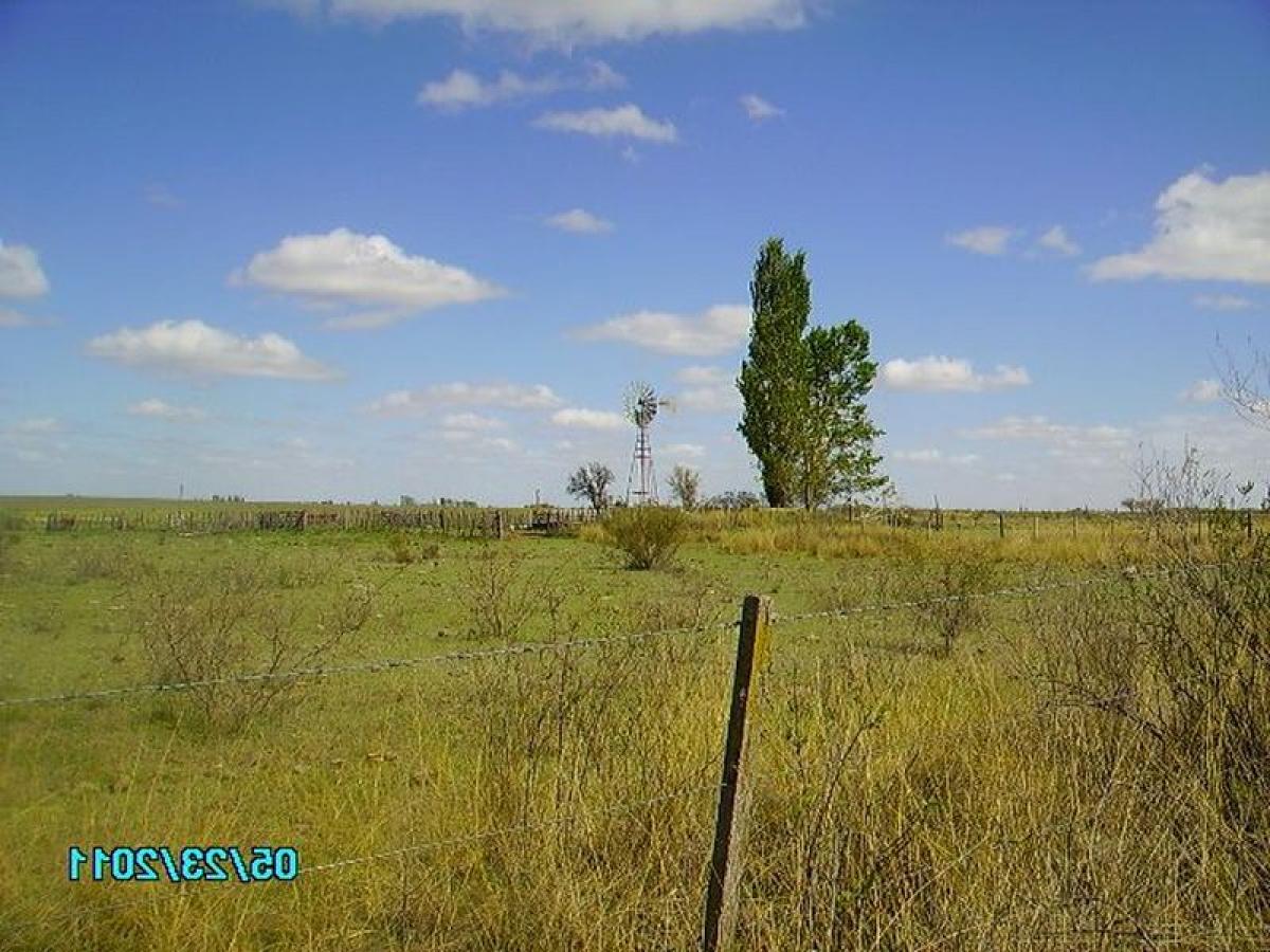 Picture of Home For Sale in Villarino, Buenos Aires, Argentina