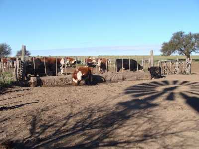 Home For Sale in La Pampa, Argentina
