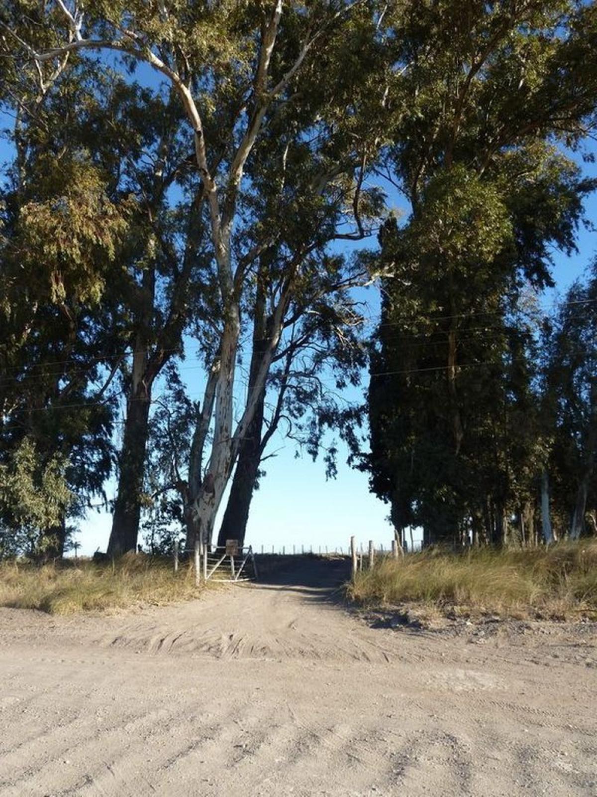 Picture of Home For Sale in Villarino, Buenos Aires, Argentina