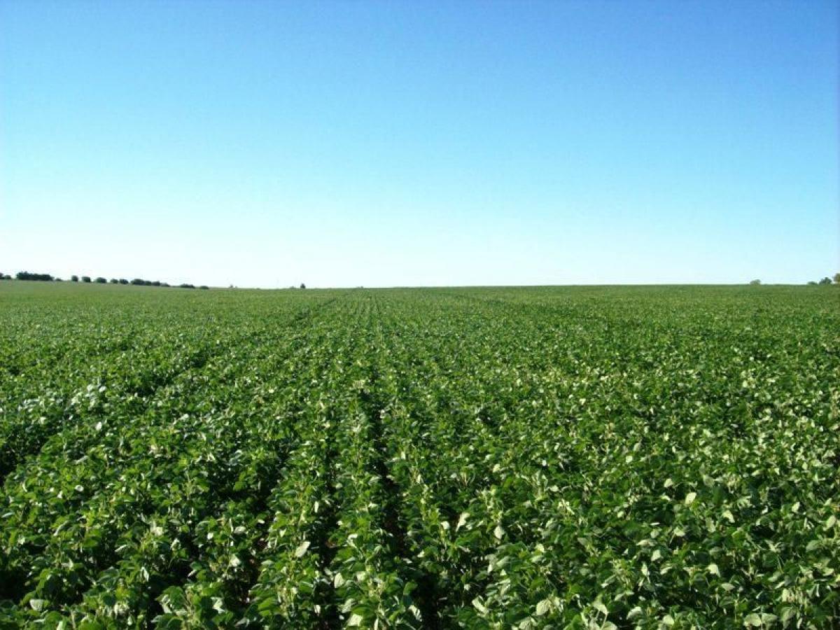 Picture of Home For Sale in Benito Juarez, Buenos Aires, Argentina