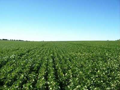 Home For Sale in Benito Juarez, Argentina