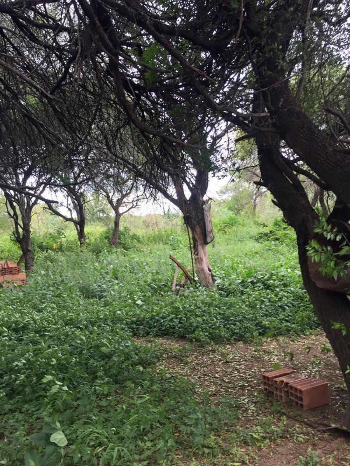 Picture of Residential Land For Sale in Salta, Salta, Argentina