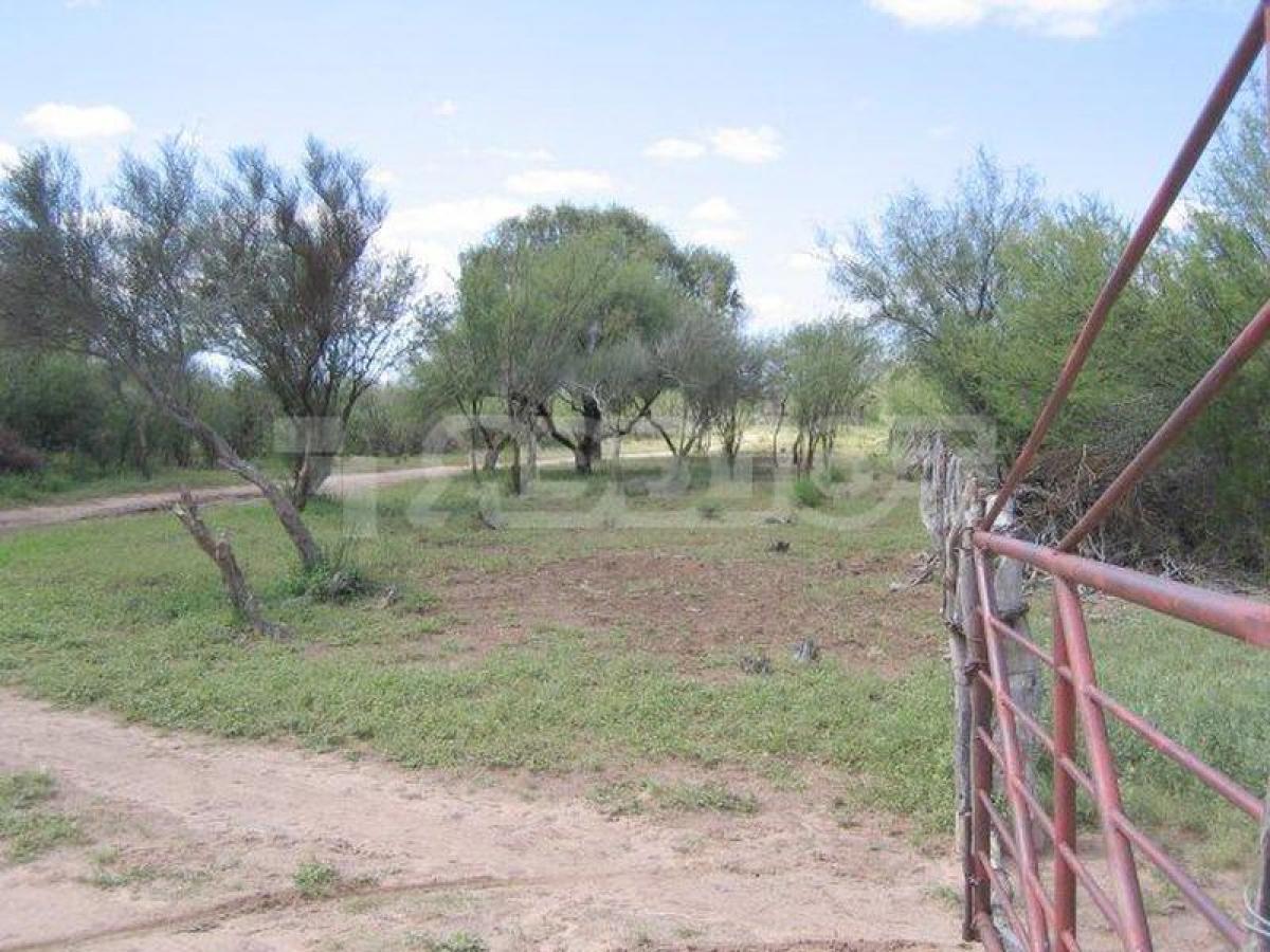 Picture of Residential Land For Sale in San Luis, San Luis, Argentina
