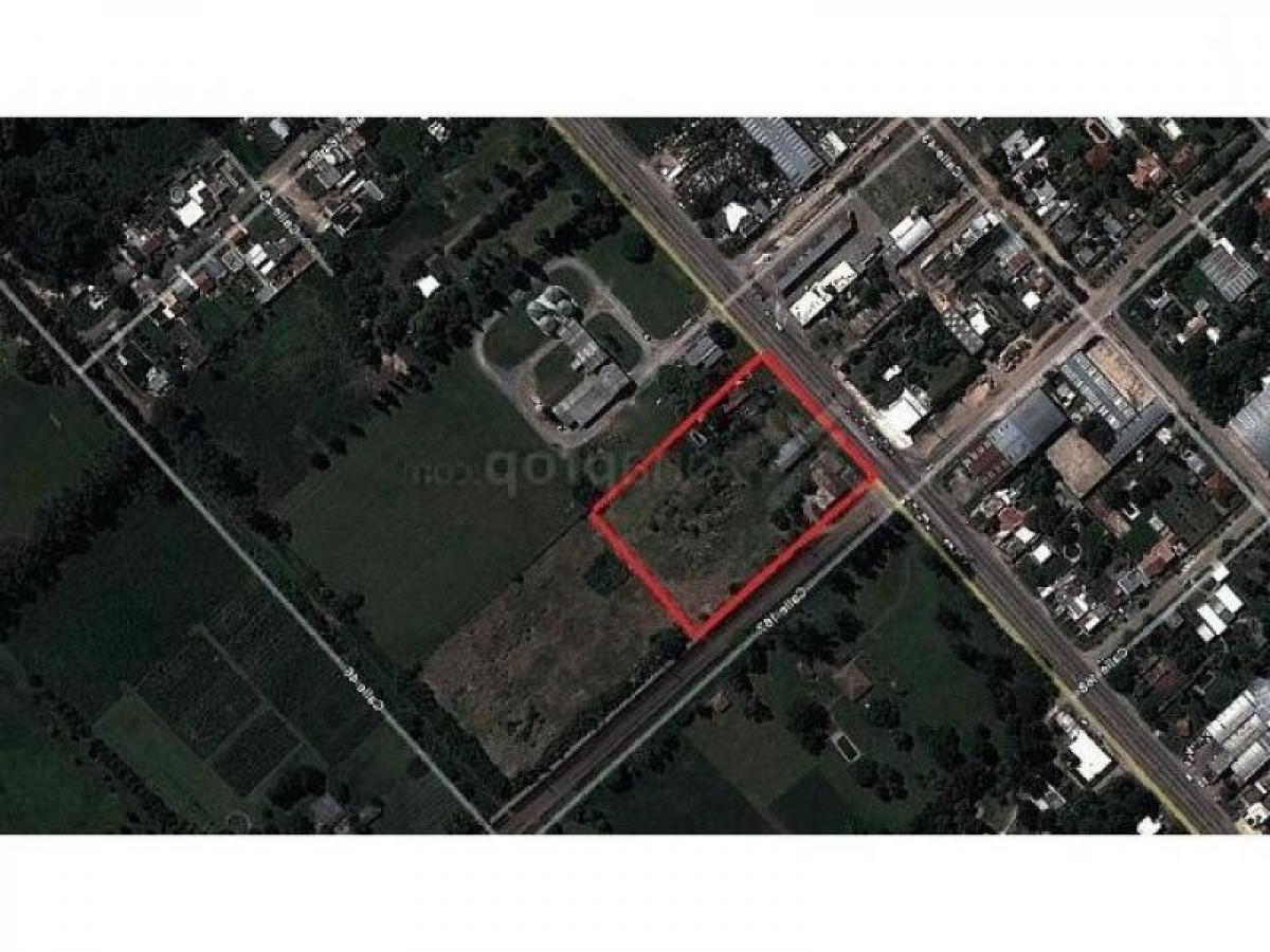 Picture of Farm For Sale in Bs.As. G.B.A. Zona Sur, Buenos Aires, Argentina