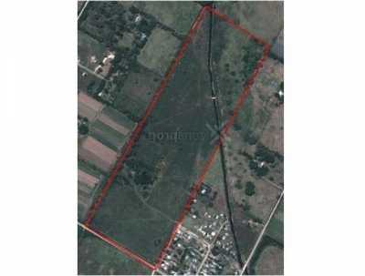 Farm For Sale in Bs.As. G.B.A. Zona Norte, Argentina