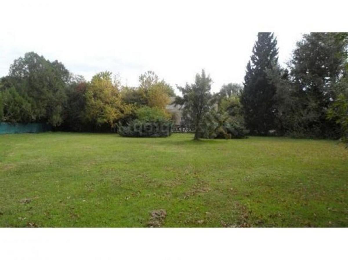 Picture of Farm For Sale in Bs.As. G.B.A. Zona Sur, Buenos Aires, Argentina