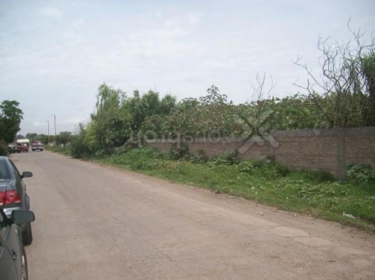 Picture of Farm For Sale in Bs.As. G.B.A. Zona Sur, Buenos Aires, Argentina