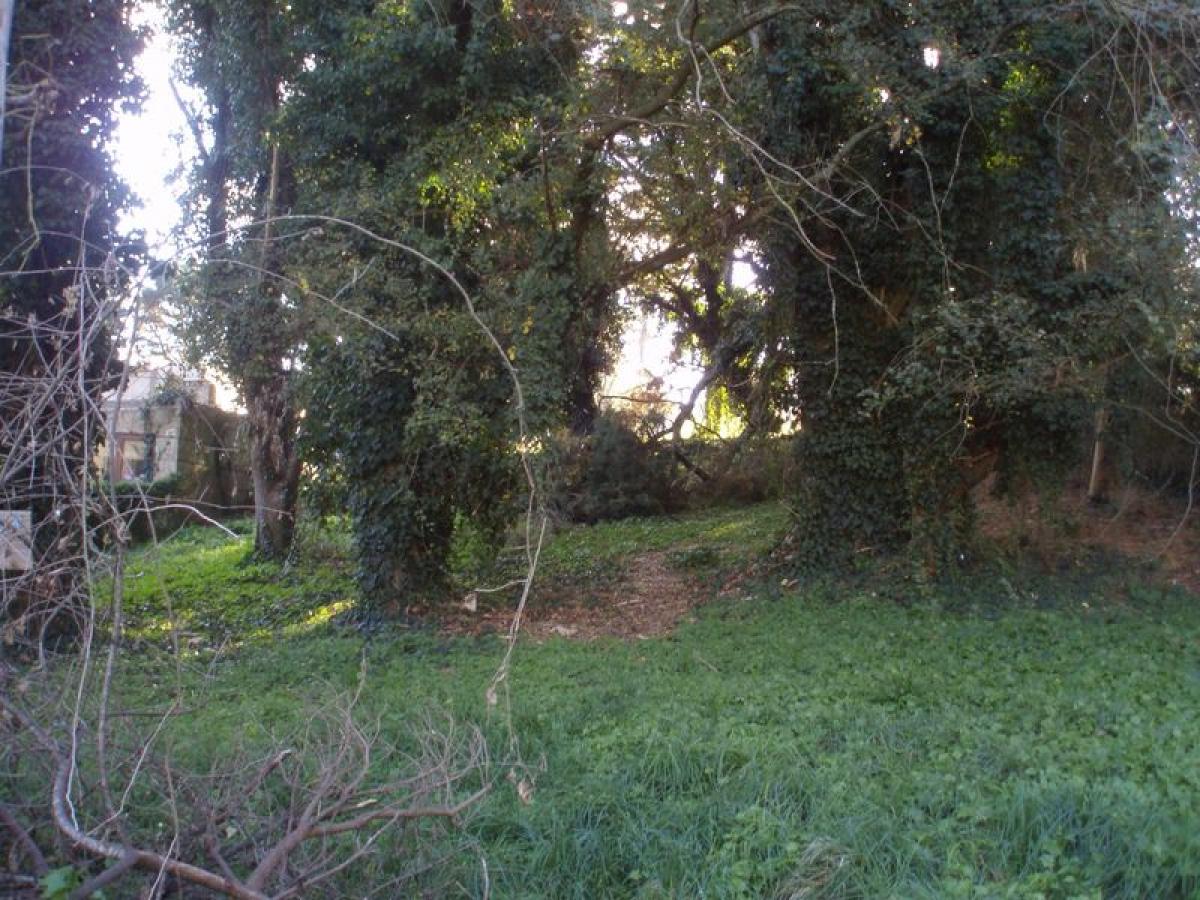 Picture of Residential Land For Sale in Buenos Aires Interior, Buenos Aires, Argentina