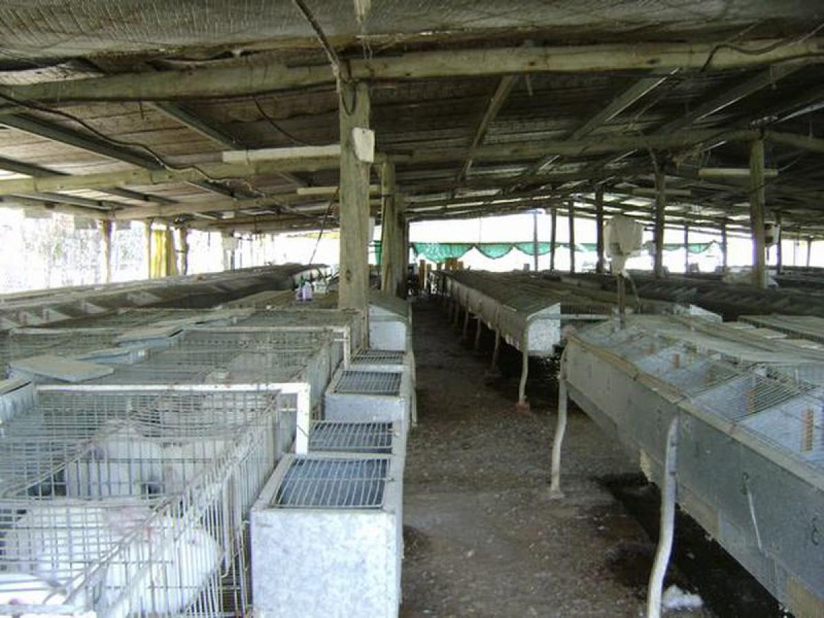 Picture of Home For Sale in San Andres De Giles, Buenos Aires, Argentina