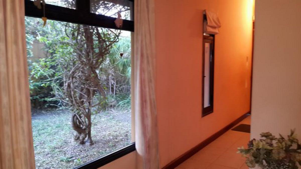 Picture of Home For Sale in San Andres De Giles, Buenos Aires, Argentina