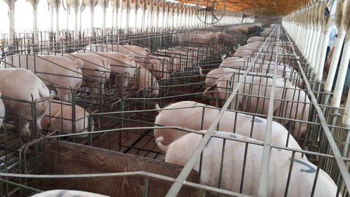 Picture of Home For Sale in Chivilcoy, Buenos Aires, Argentina