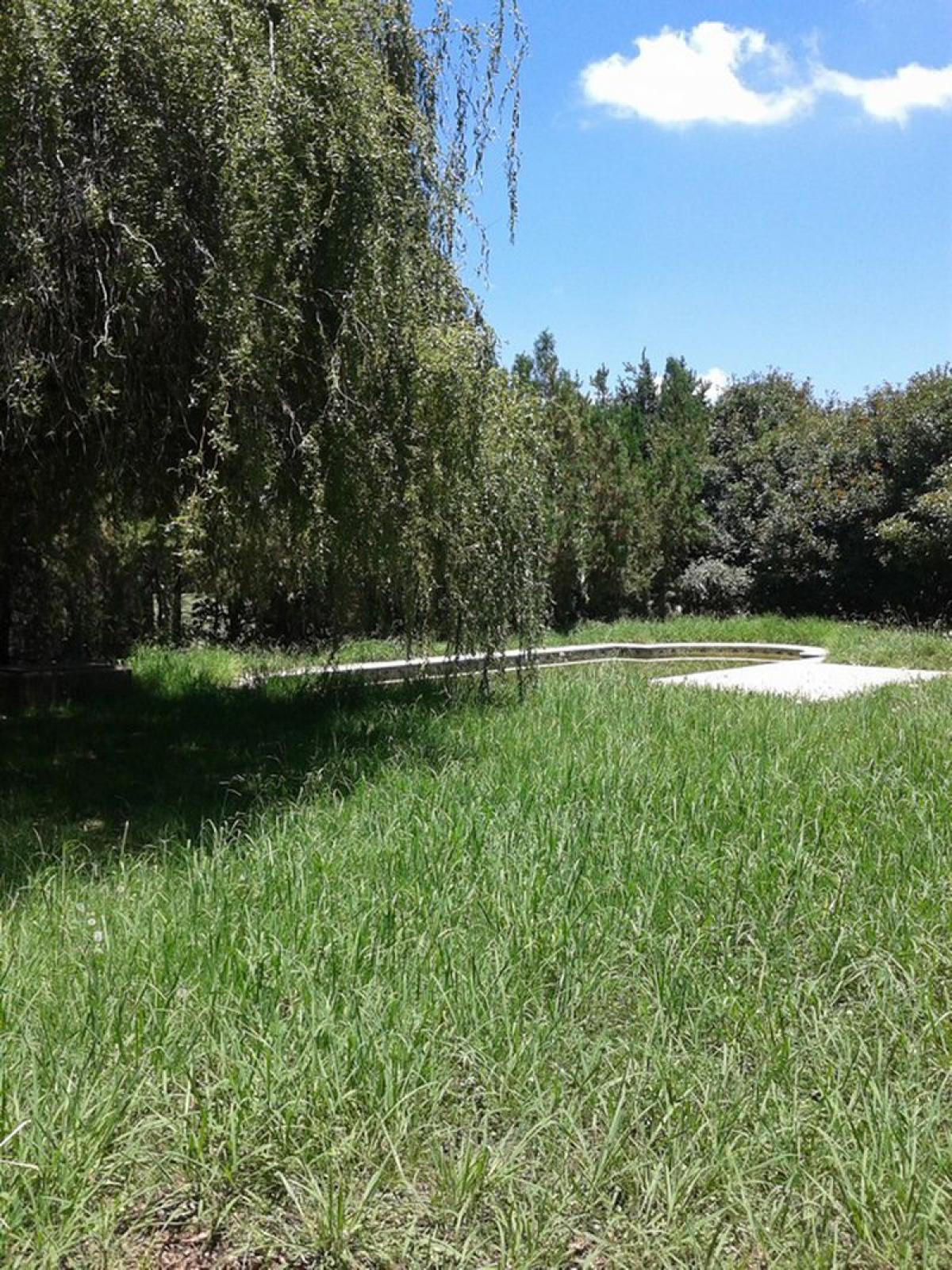 Picture of Farm For Sale in San Andres De Giles, Buenos Aires, Argentina