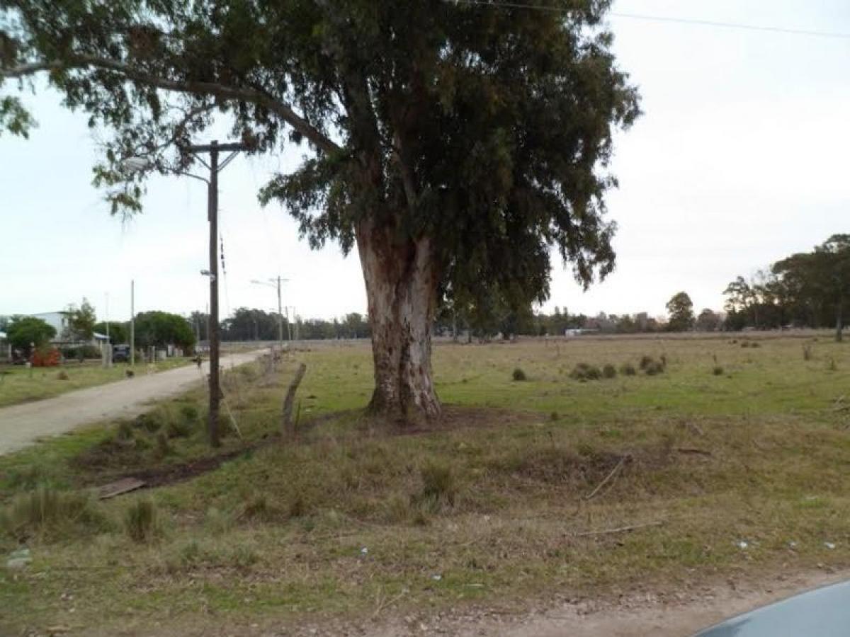 Picture of Residential Land For Sale in General Pueyrredon, Buenos Aires, Argentina
