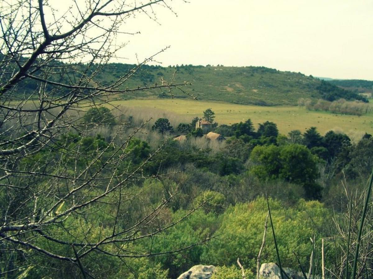 Picture of Residential Land For Sale in General Pueyrredon, Buenos Aires, Argentina