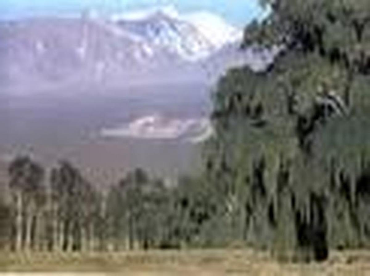 Picture of Residential Land For Sale in San Juan, San Juan, Argentina