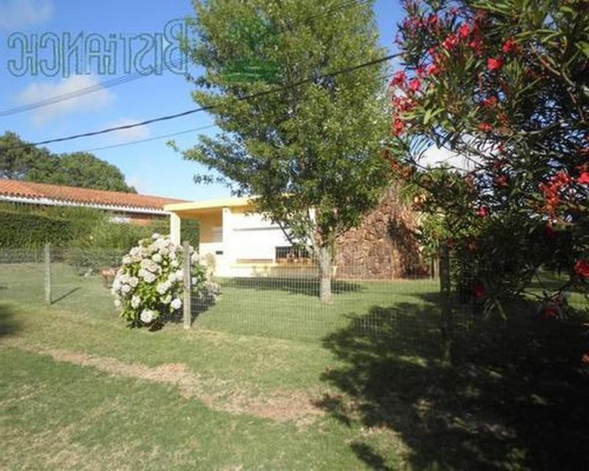 Picture of Home For Sale in Rivadavia, Mendoza, Argentina