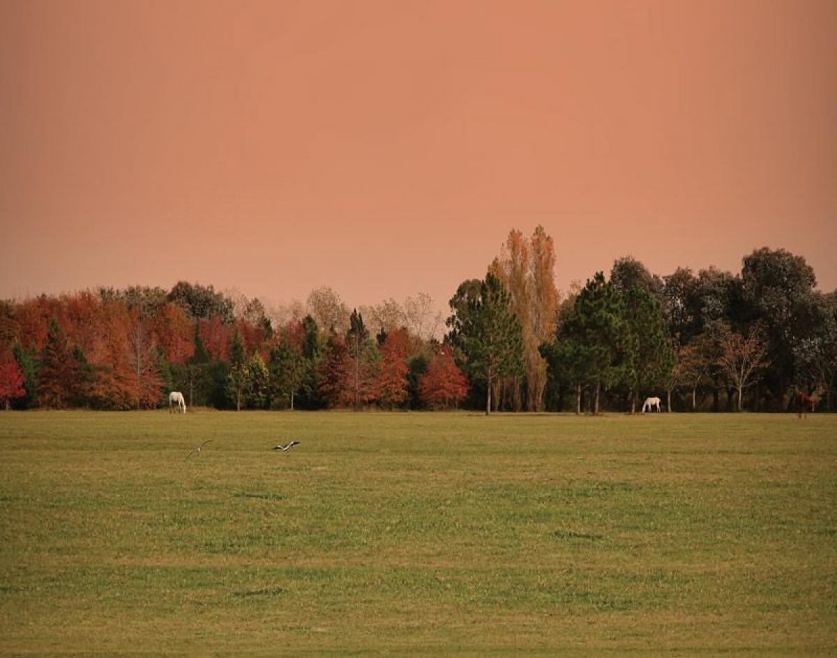 Picture of Residential Land For Sale in Exaltacion De La Cruz, Buenos Aires, Argentina