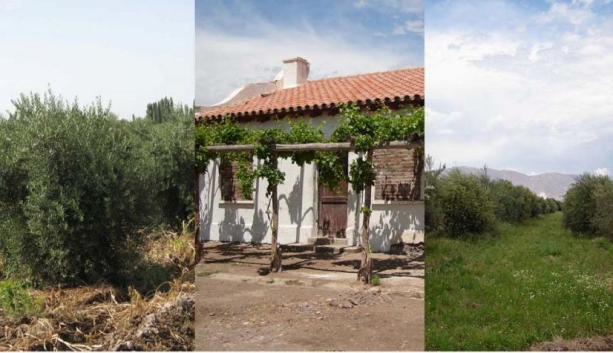 Picture of Residential Land For Sale in San Juan, San Juan, Argentina