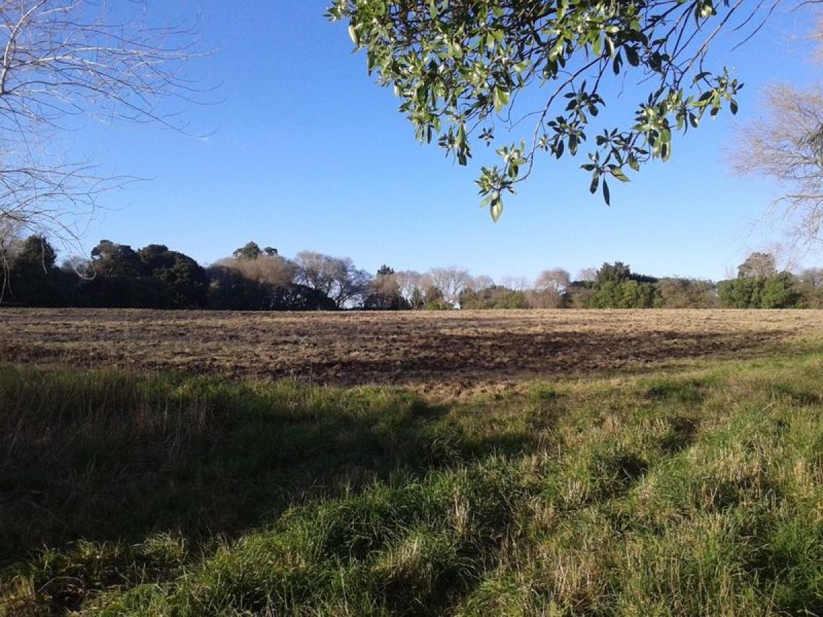 Picture of Home For Sale in General Pueyrredon, Buenos Aires, Argentina