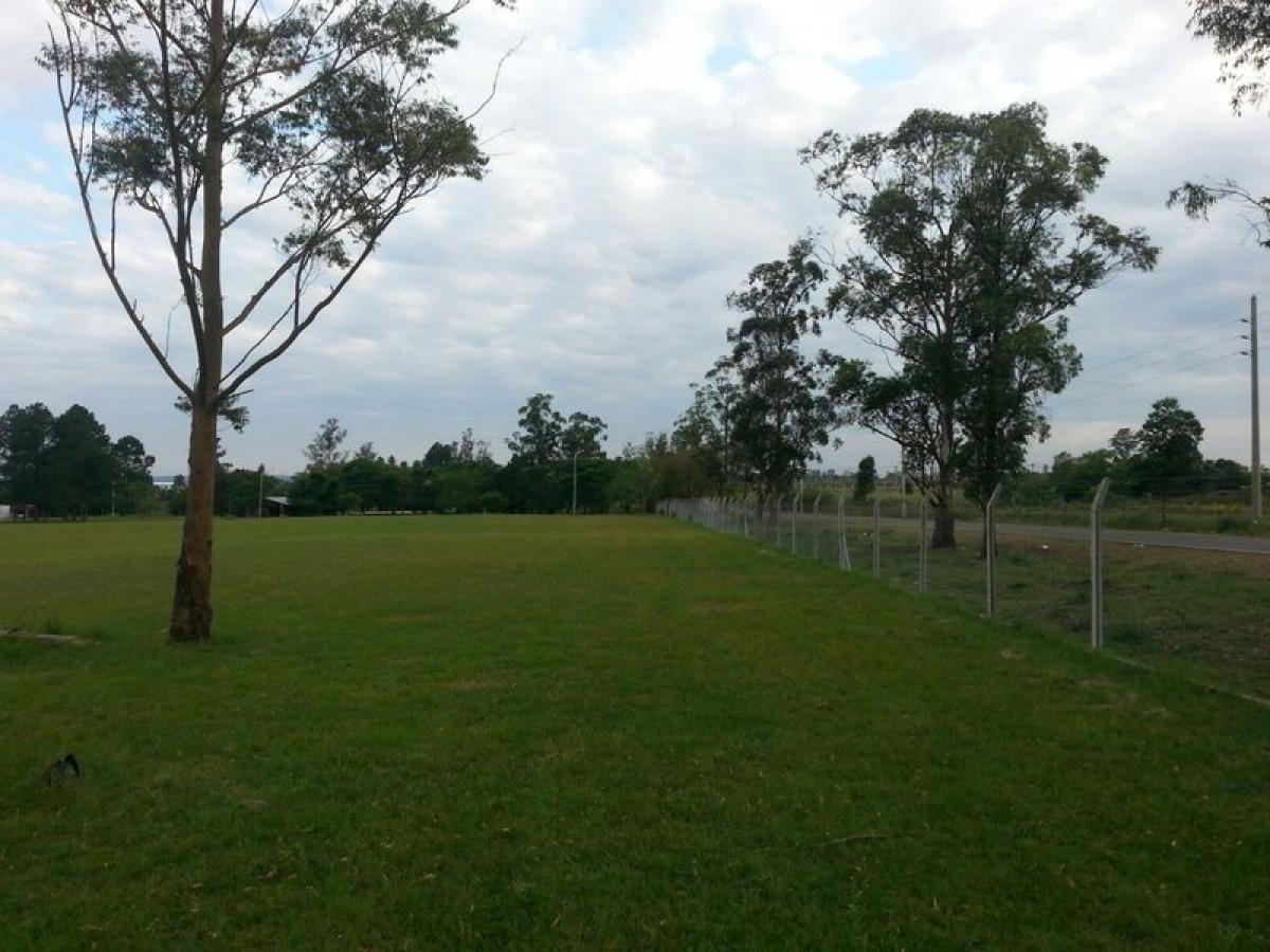 Picture of Farm For Sale in Misiones, Misiones, Argentina