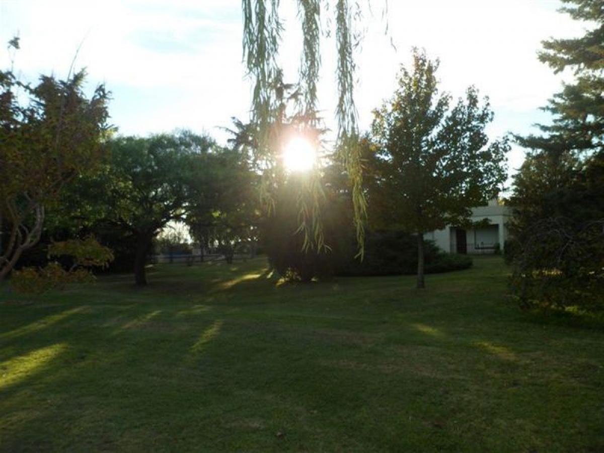 Picture of Farm For Sale in Coronel Suarez, Buenos Aires, Argentina