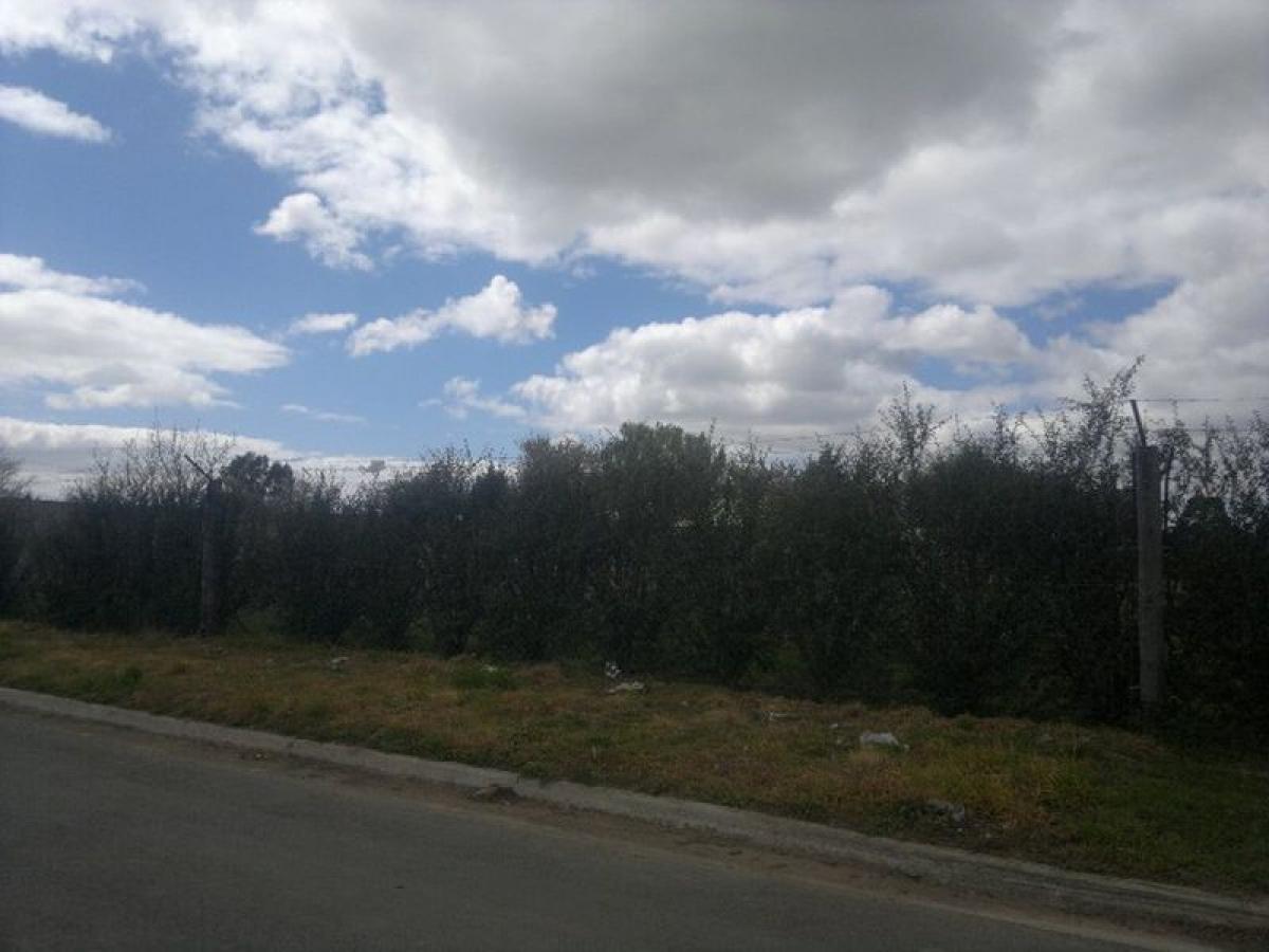 Picture of Residential Land For Sale in Coronel Suarez, Buenos Aires, Argentina