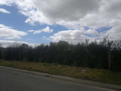 Residential Land For Sale in Coronel Suarez, Argentina