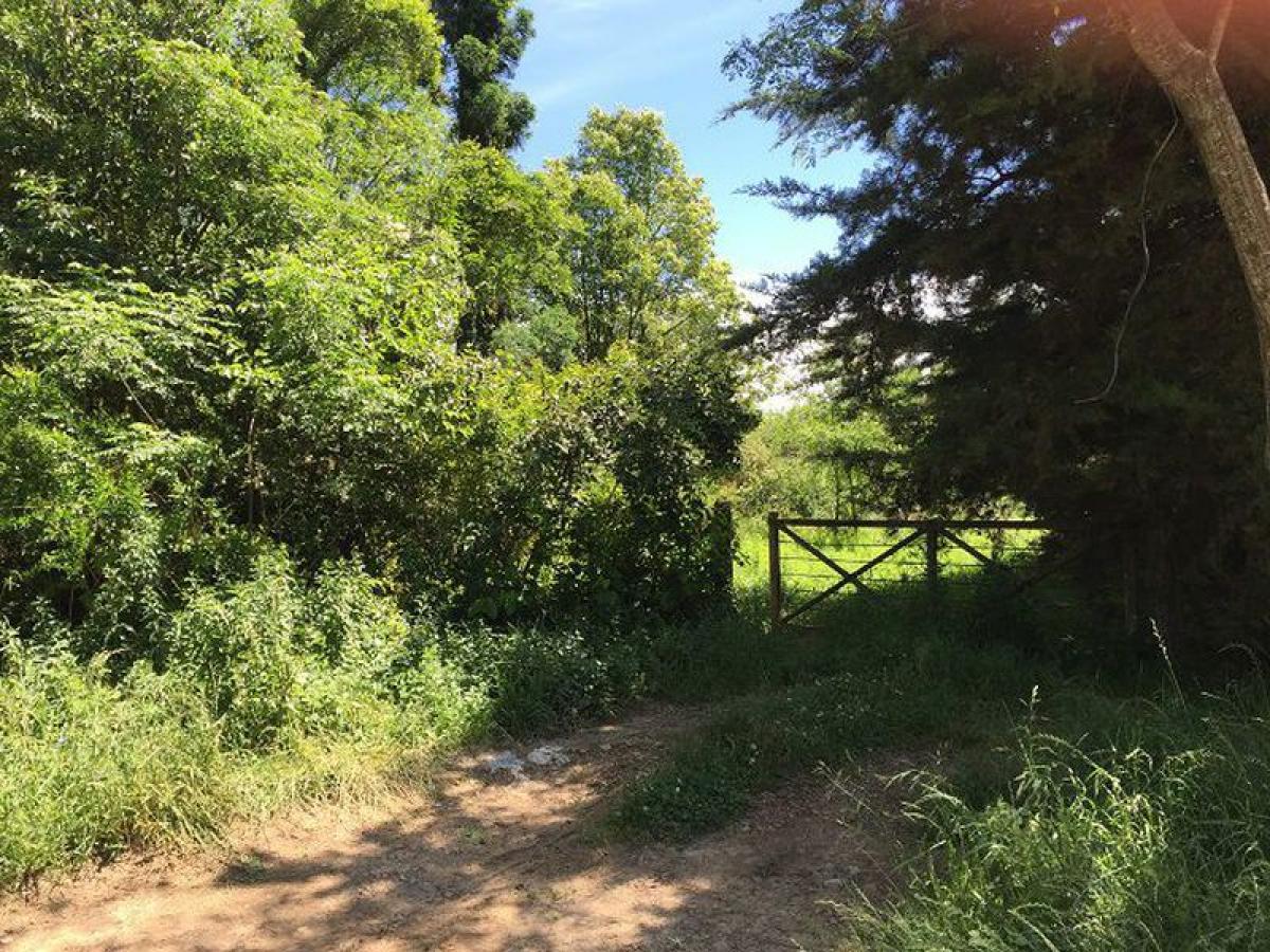 Picture of Residential Land For Sale in San Antonio De Areco, Buenos Aires, Argentina