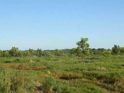 Farm For Sale in Entre Rios, Argentina