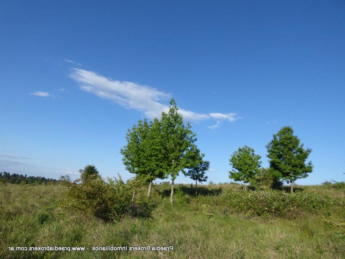 Picture of Residential Land For Sale in Cordoba, Cordoba, Argentina