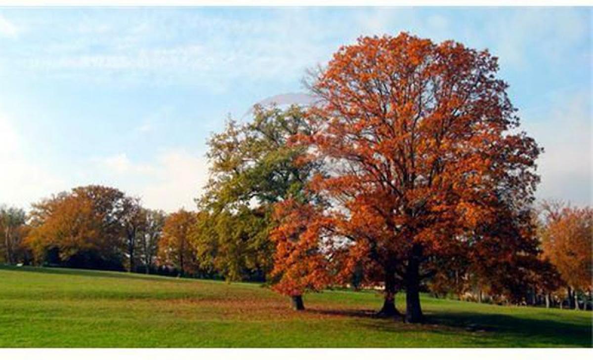 Picture of Residential Land For Sale in Quilmes, Buenos Aires, Argentina