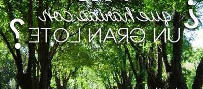 Residential Land For Sale in Trenque Lauquen, Argentina