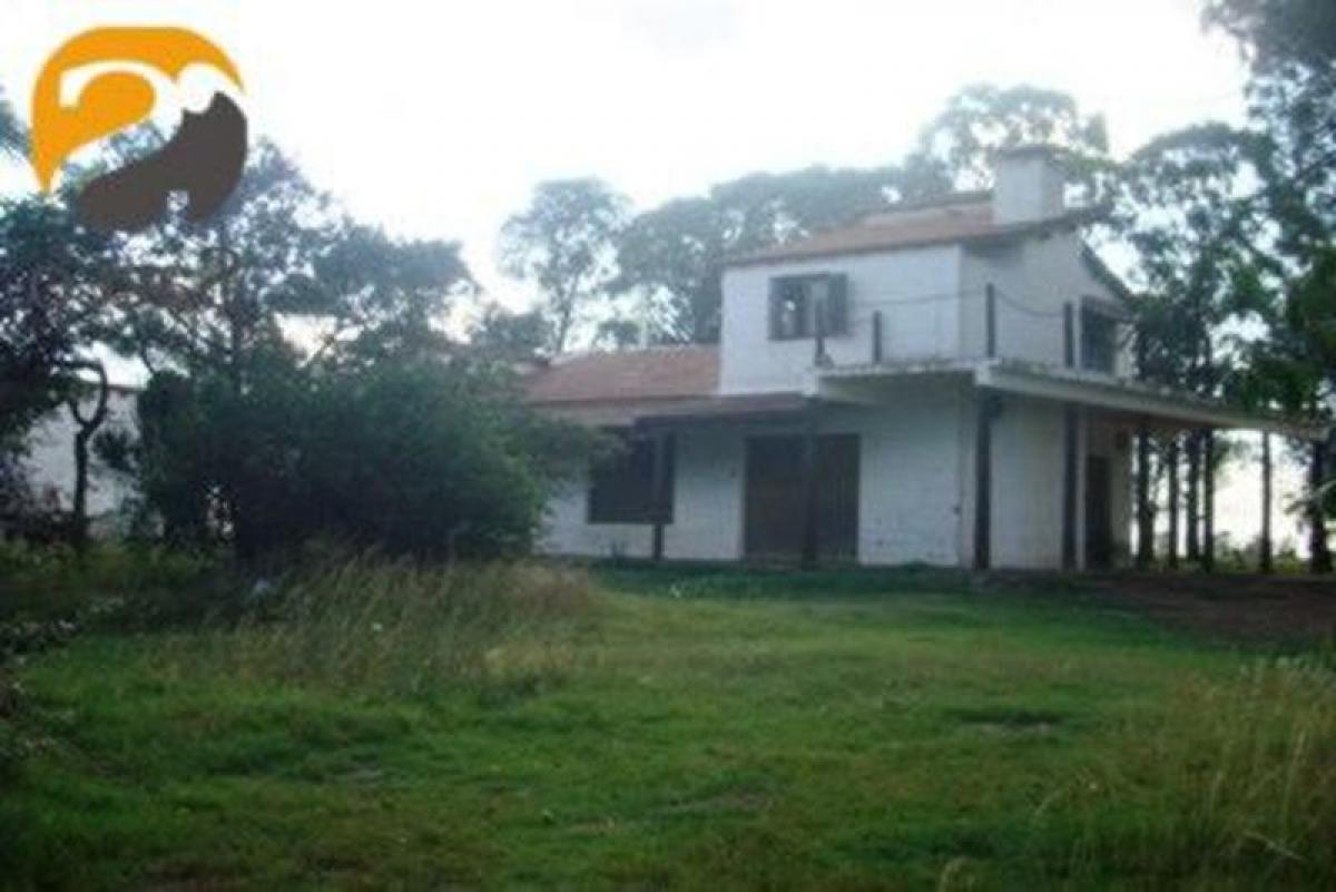 Picture of Farm For Sale in Trenque Lauquen, Buenos Aires, Argentina