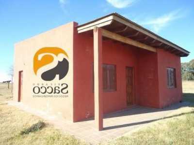 Farm For Sale in Trenque Lauquen, Argentina