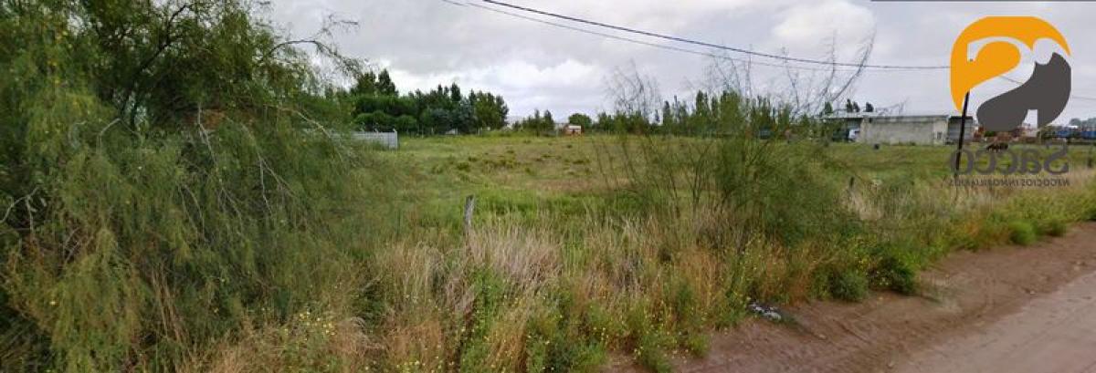 Picture of Residential Land For Sale in Trenque Lauquen, Buenos Aires, Argentina