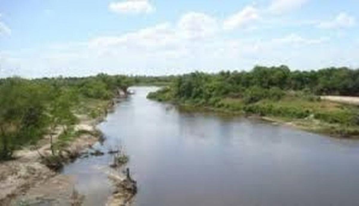 Picture of Farm For Sale in Corrientes, Corrientes, Argentina