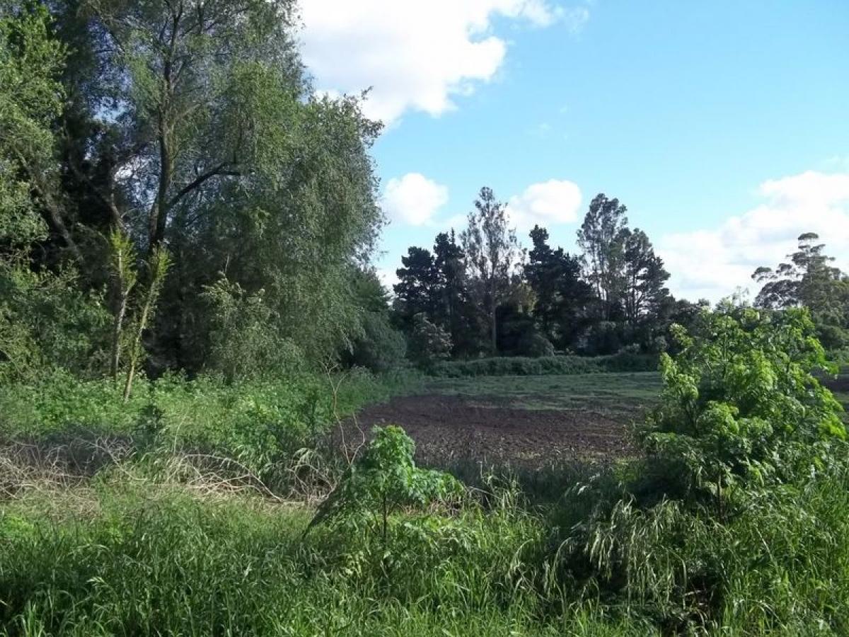 Picture of Residential Land For Sale in General Pueyrredon, Buenos Aires, Argentina