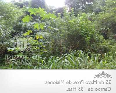 Home For Sale in Misiones, Argentina