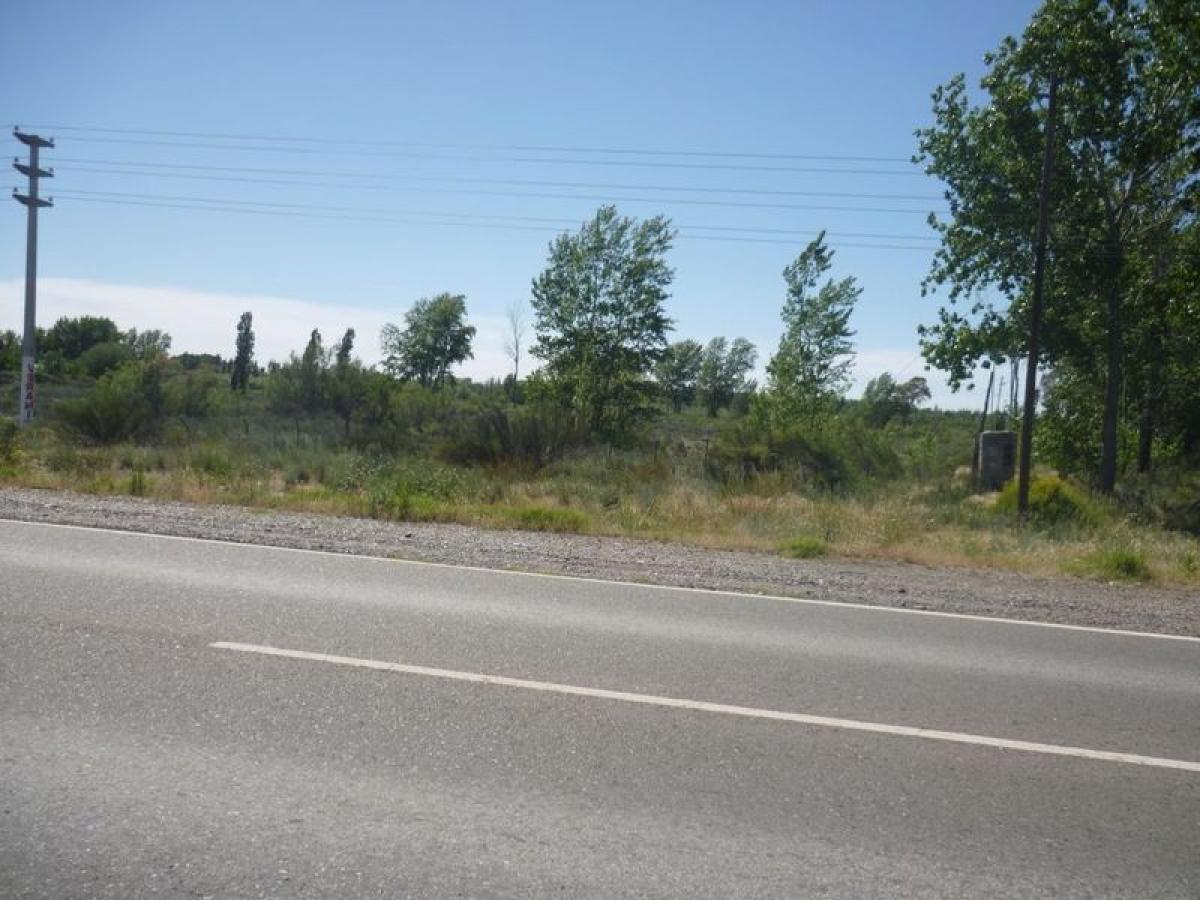 Picture of Farm For Sale in Rio Negro, Rio Negro, Argentina