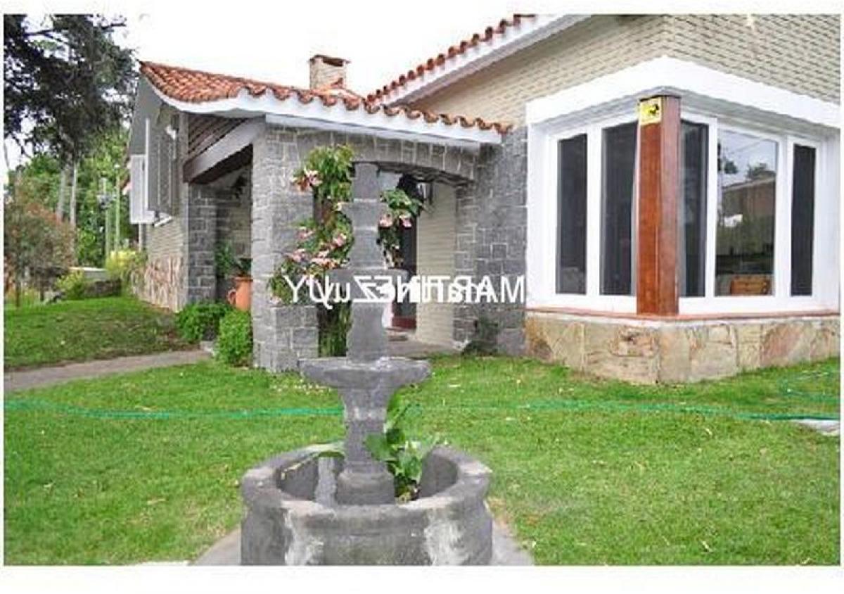 Picture of Home For Sale in Rivadavia, Mendoza, Argentina