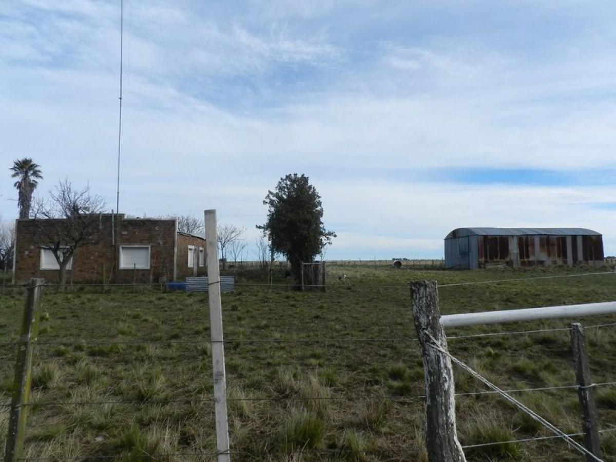 Picture of Home For Sale in Puan, Buenos Aires, Argentina