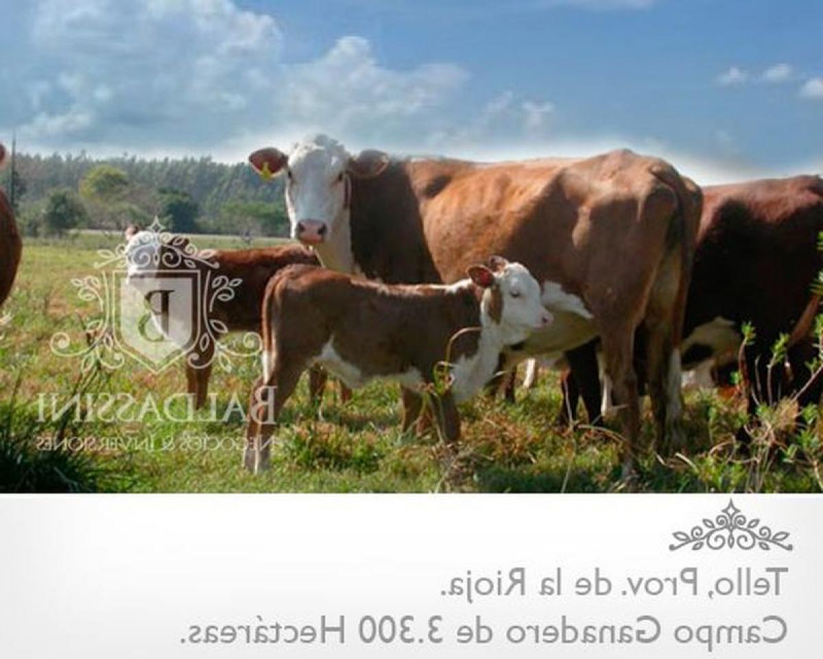 Picture of Home For Sale in La Rioja, La Rioja, Argentina