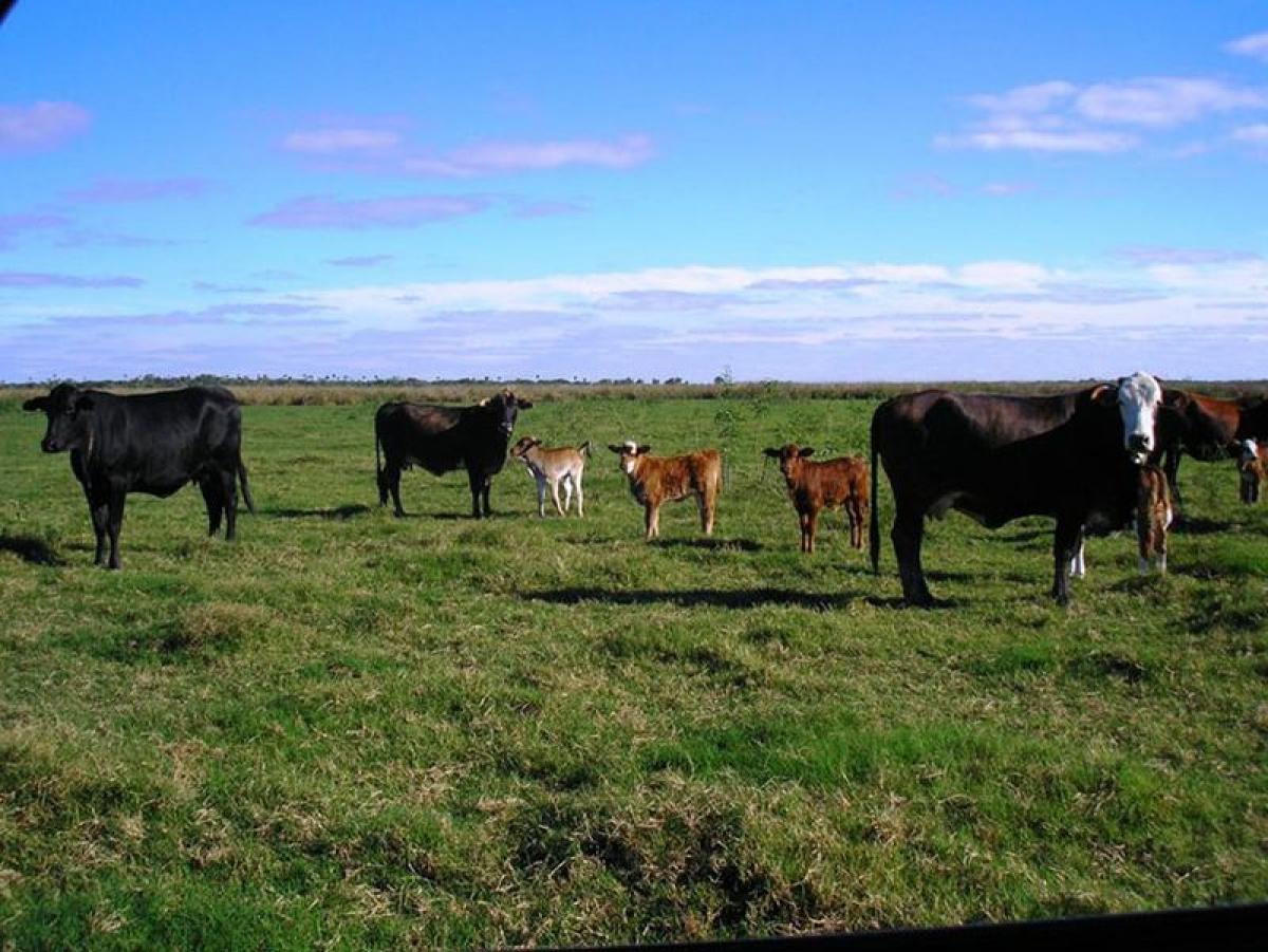 Picture of Home For Sale in Formosa, Formosa, Argentina