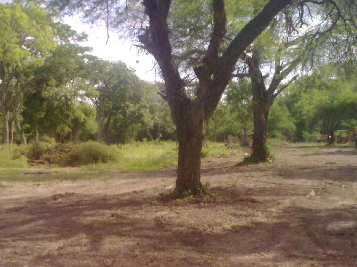 Picture of Residential Land For Sale in Chaco, Chaco, Argentina