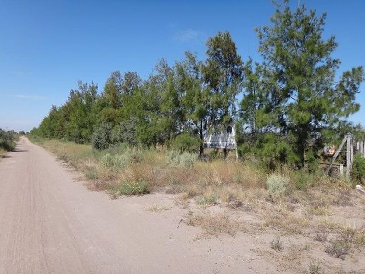 Picture of Farm For Sale in Mendoza, Mendoza, Argentina